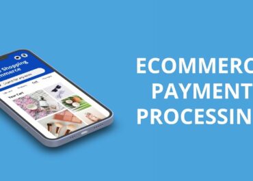 E-commerce Payment Processing: An introduction to the present and future of payments